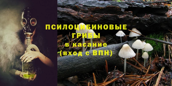 ГАЛЛЮЦИНОГЕННЫЕ ГРИБЫ Переславль-Залесский