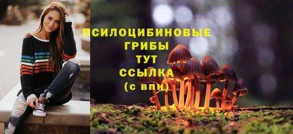 ГАЛЛЮЦИНОГЕННЫЕ ГРИБЫ Переславль-Залесский