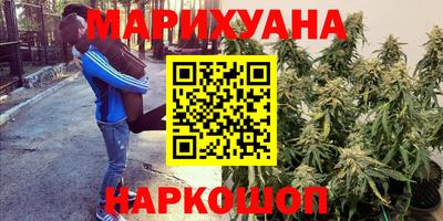 стафф Гусев