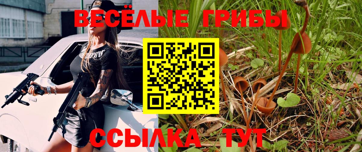 Галлюциногенные грибы прущие грибы Чита