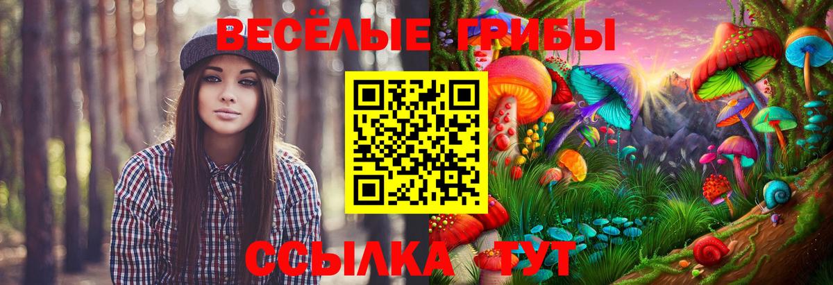 Псилоцибиновые грибы ЛСД  Вход с VPN  Чита 